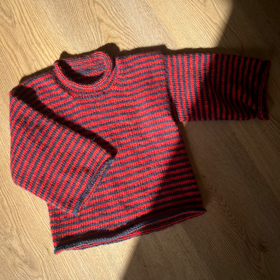 Cirkus Basic Sweater - Junior