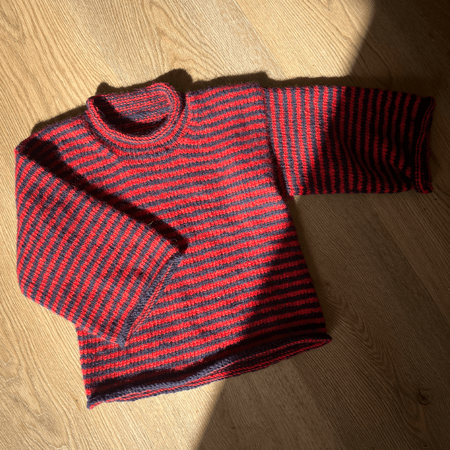 Cirkus Basic Sweater - Junior